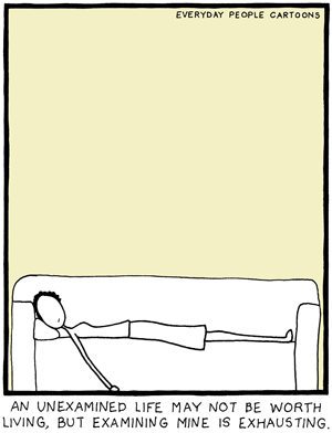 comic - cartoon about examining your life and mindfulness