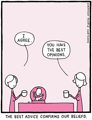 Comic cartoon about reinforcing out belief systems, giving advice and opinions that are the same, like-minded folks